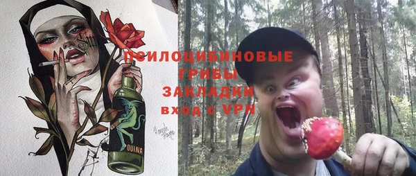 спиды Каменногорск