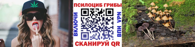 Галлюциногенные грибы Psilocybine cubensis  Лебедянь 